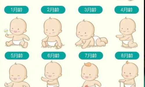 杏仁吃法榛子吃法-杏仁吃法?专区_杏仁吃法?专区_杏仁吃法网
