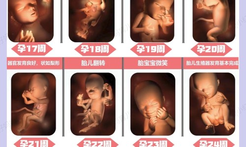 杏仁吃法榛子吃法-杏仁吃法?专区_杏仁吃法?专区_杏仁吃法网
